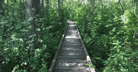 This Rhode Island Nature Sanctuary Makes For The Perfect Outdoor Day Trip