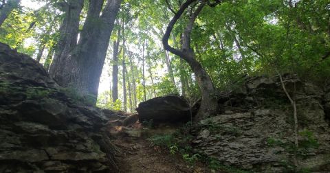 An Incredible, Wonder-Filled Adventure Awaits On Indiana's Charlestown State Park Trail #6