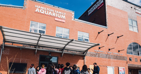 Rhode Island’s Hamilton Family Aquarium Offers Fun For All Ages