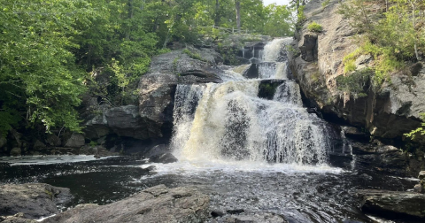 The Easy Trail That Just Might Have The Prettiest Waterfall In Connecticut