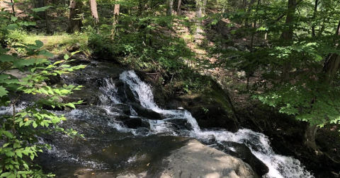 The Zoar Trail Is One Of The Best Waterfall Hikes In Connecticut
