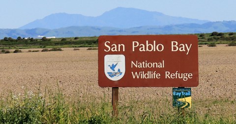This Northern California Wildlife Sanctuary Makes For The Perfect Day Trip