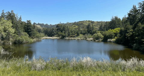 The Hidden Nature Park In Southern California With Its Very Own Lake, Duck Pond, And So Much More