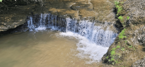 The Saunders Springs Nature Preserve Loop Is One Of The Best Waterfall Hikes In Kentucky