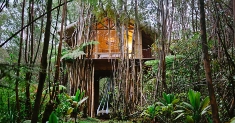 These 3 Treehouse Airbnbs In Hawaii Are Exceptional In Every Sense Of The Word
