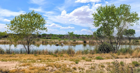 The Hidden Nature Park In New Mexico With Its Very Own Botanical Garden, Nature Center, And So Much More
