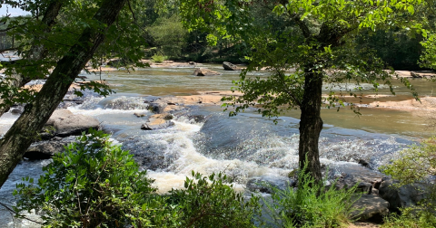The Gorgeous, Little-Known River Is One Of The Most Underrated Fishing Spots In South Carolina