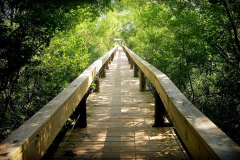 This Texas Nature Sanctuary Makes For The Perfect Family Day Trip