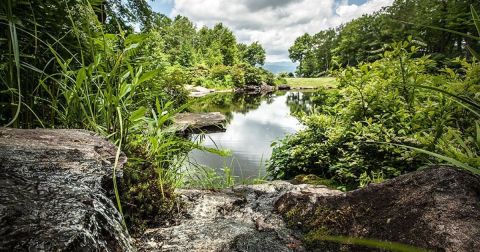 This North Carolina Nature Reserve Makes For The Perfect Peaceful Day Trip