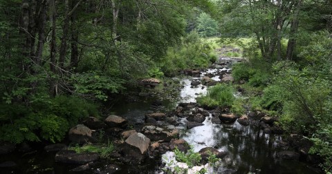 I Enjoyed A Quiet Backcountry Trek Along This Remote New Hampshire Trail