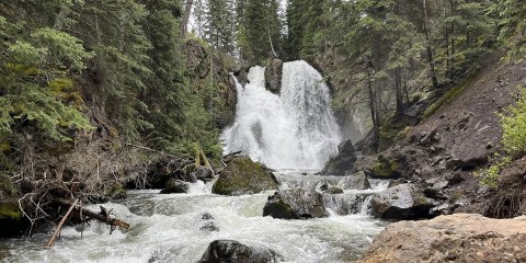 The Passage Falls Trail Is One Of The Best Waterfall Hikes In Montana