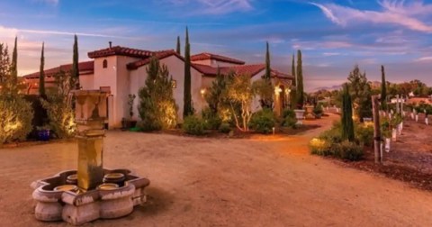 The Picture-Perfect Vineyard Airbnb In Southern California Is Perfect For A Getaway