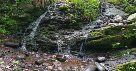 The Barrett Park Waterfall Loop Is One Of The Best Waterfall Hikes In Massachusetts