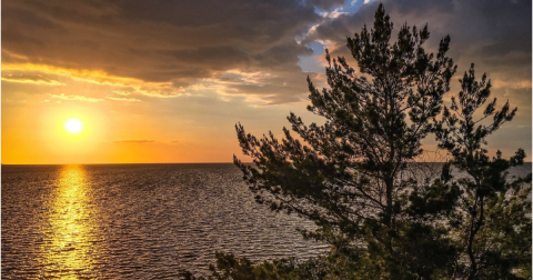 The Key Vista Loop Is One Of The Best Waterfront Hikes In Florida