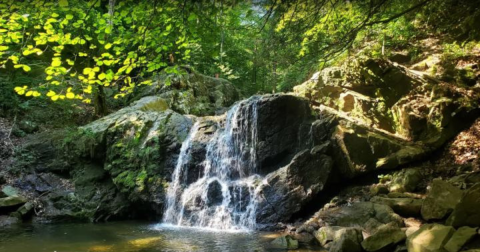 The Cascade Falls Loop Trail Is One Of The Best Waterfall Hikes In Maryland