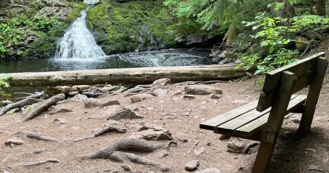 The Trap Falls Trail Is One Of The Best Waterfall Hikes In Michigan