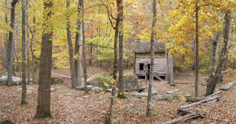 The CCC Pond Trail Loop Is One Of The Best Waterfall Hikes In Mississippi