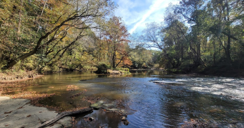 This Natural Water Park In Mississippi Is A Summer Dream Come True