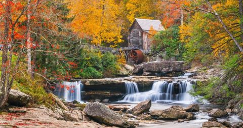 Your Ultimate Guide To Fall Attractions And Activities In West Virginia
