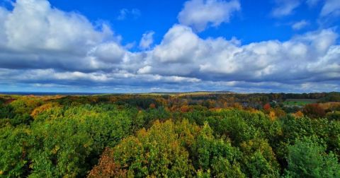 Your Ultimate Guide To Fall Attractions And Activities In Ohio
