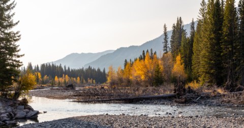 Your Ultimate Guide To Fall Attractions And Activities In Montana