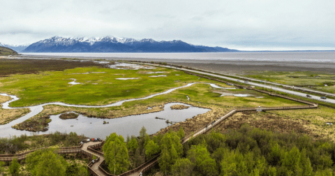 Potter's Marsh Has A Hidden Boardwalk In Alaska Worthy Of A Day Hike