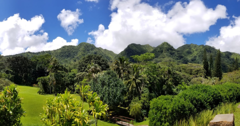 The Lyon Arboretum Is A Hidden Garden In Hawaii Worthy Of A Day Hike