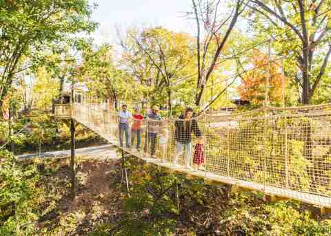 The First TreeTop Sky Trail Just Opened in Missouri And It’s The Perfect Summer Adventure