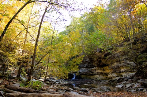 Hike McCormick's Creek State Park's Newest Trail In Indiana For An Unforgettable Adventure