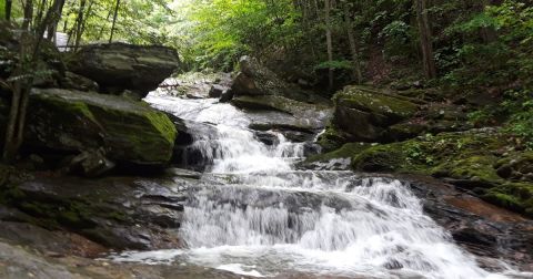 This Slippery, Uphill Waterfall Trail To Crab Orchard Falls In North Carolina Blew Me Away