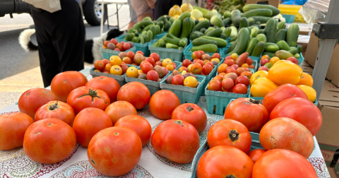 The Most Underrated Farmers’ Market In St. Louis Is One Of My Favorite Places